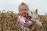 ENFANT ET CHIEN 518